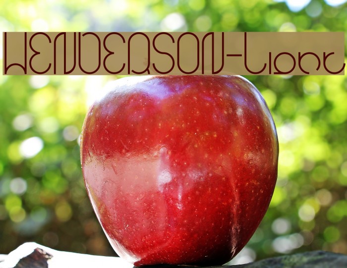 HENDERSON-Light Font examples