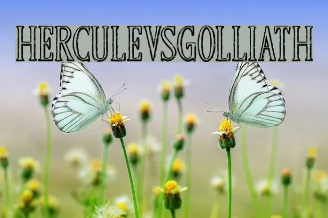 HERCULEVSGOLLIATH Example 1