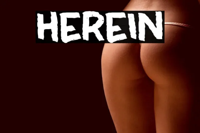 HEREIN Example 3