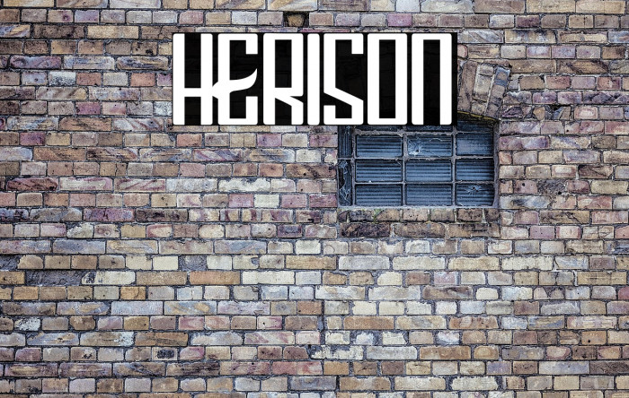 HERISON Example 1