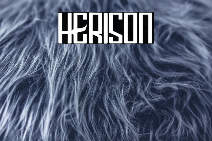 HERISON Example 2