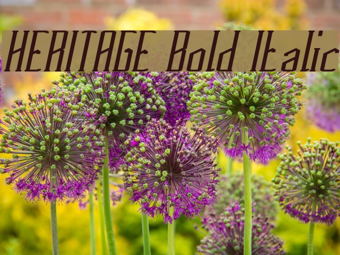 HERITAGE Bold Italic Example 1
