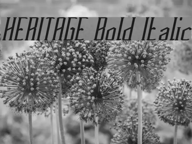 HERITAGE Bold Italic Font examples