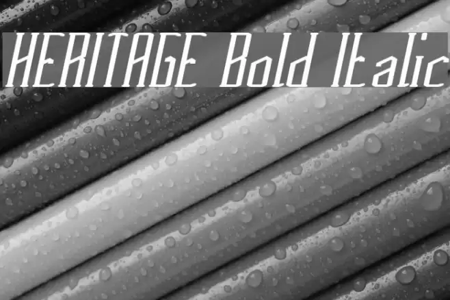 HERITAGE Bold Italic Font examples