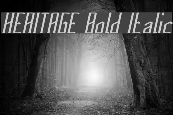 HERITAGE Bold Italic Font examples