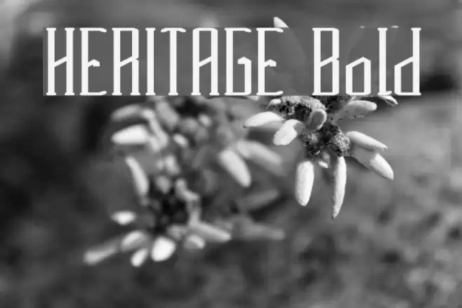 HERITAGE Bold Font examples