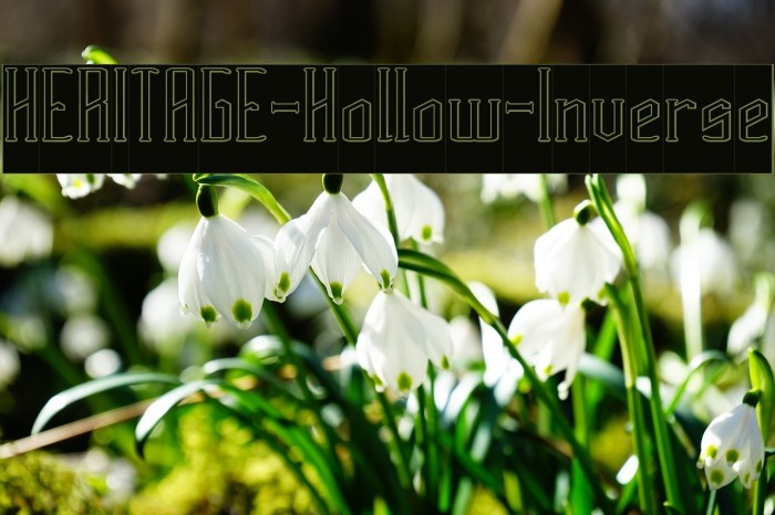 HERITAGE-Hollow-Inverse Example 2