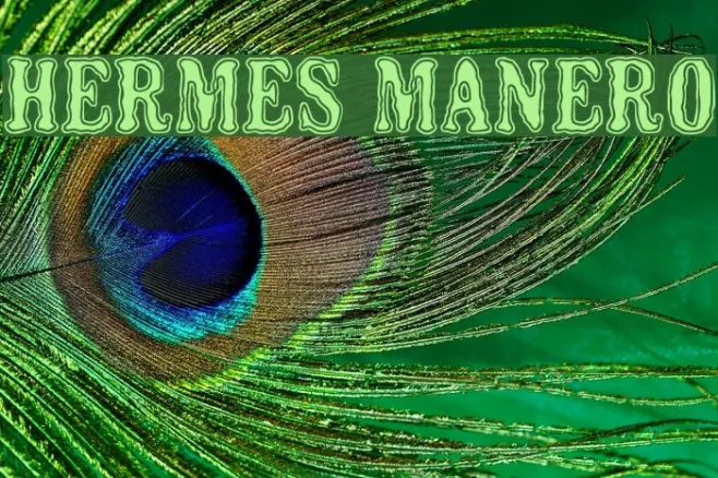 HERMES MANERO Example 2