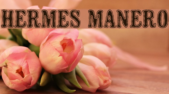 HERMES MANERO Font examples