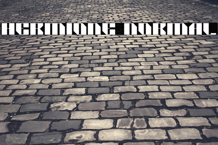 HERMIONE Normal Example 1