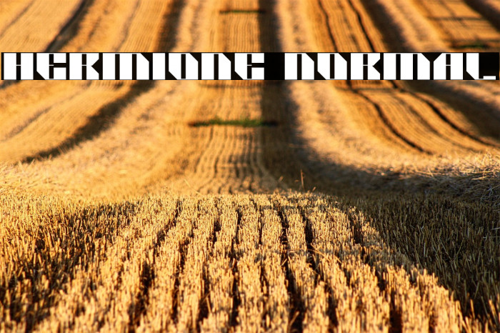 HERMIONE Normal Example 2