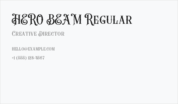 HERO BEAM Regular Business Card