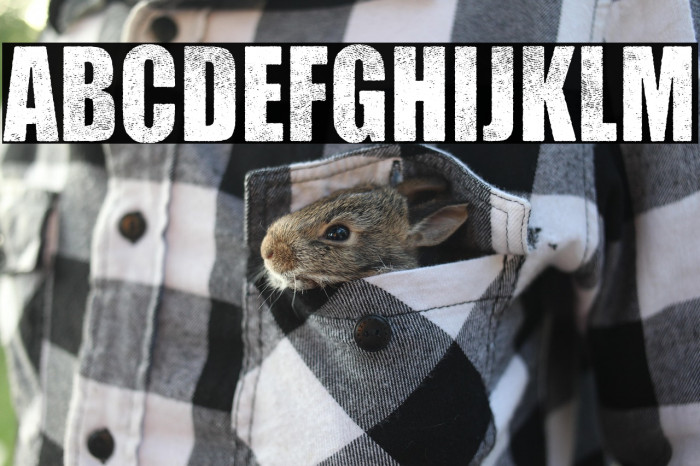 HEROES PERSONAL USE Bold Example 1