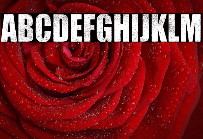 HEROES PERSONAL USE Bold Example 2