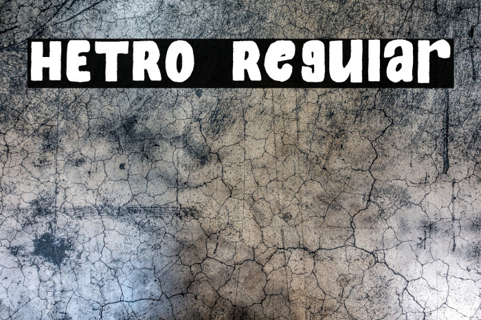 HETRO Regular Example 2