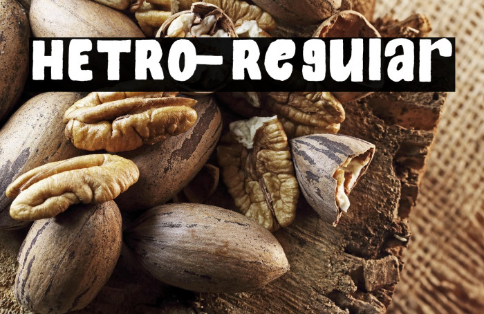 HETRO-Regular Example 1