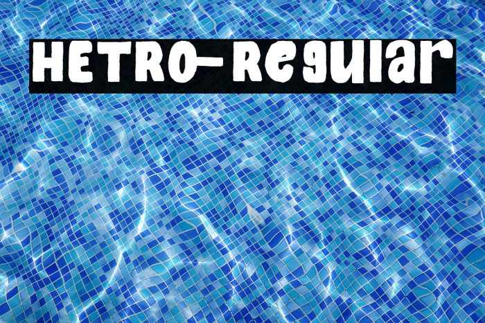 HETRO-Regular Example 2