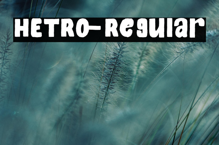 HETRO-Regular Example 3