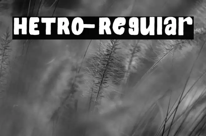 HETRO-Regular Font examples