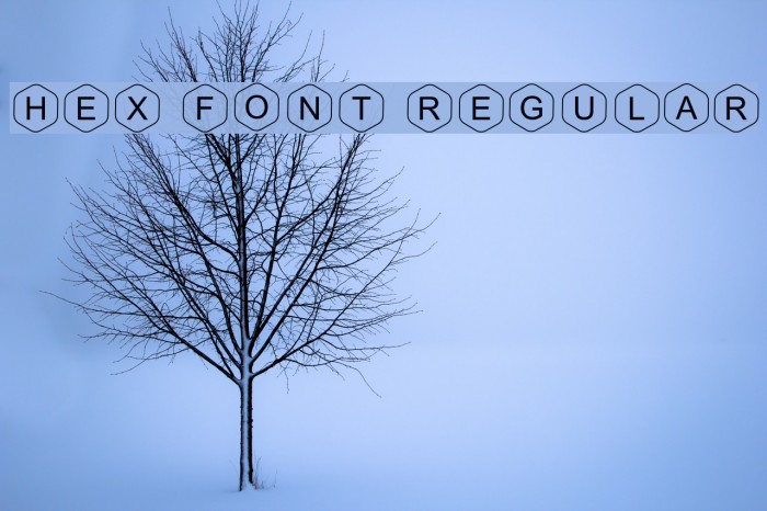 HEX Font Regular Шрифта examples
