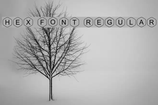 HEX Font Regular Font examples