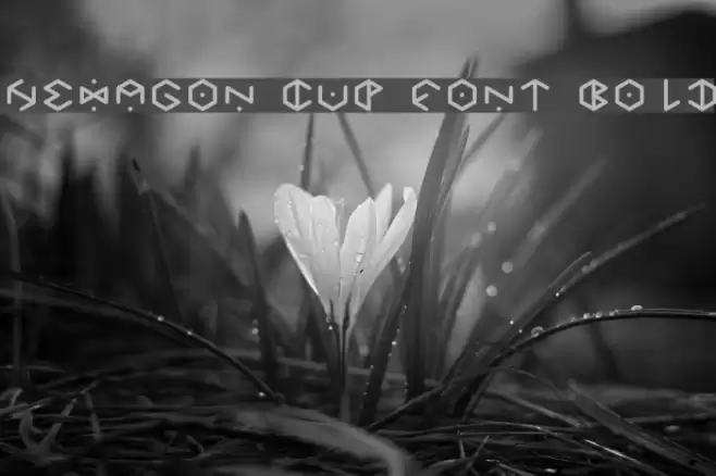 HEXAGON cup font Bold Font examples