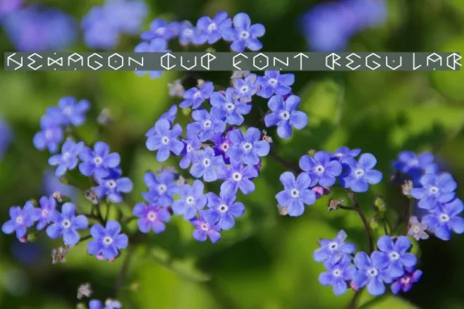 HEXAGON cup font Regular Example 1
