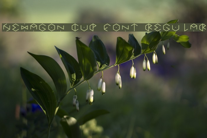 HEXAGON cup font Regular Font examples