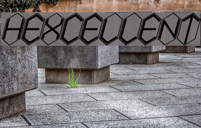 HEXCELLENT Example 1