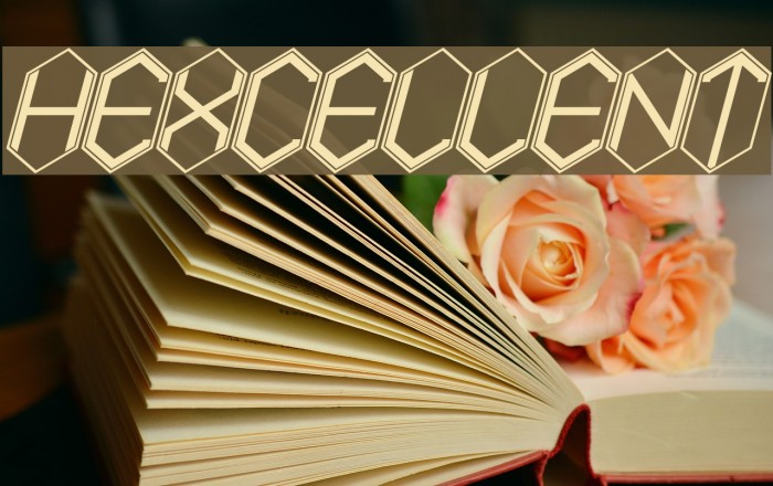 HEXCELLENT Example 2