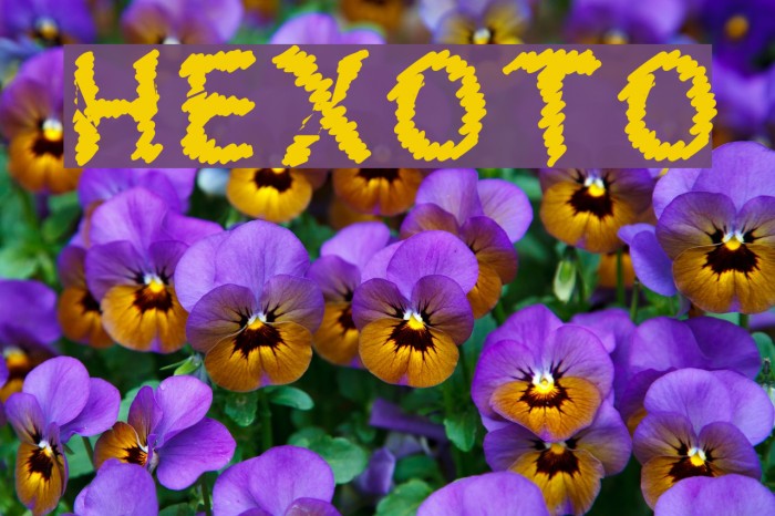HEXOTO Fonte examples