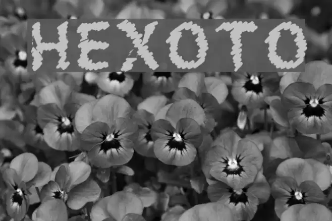 HEXOTO Fonte examples