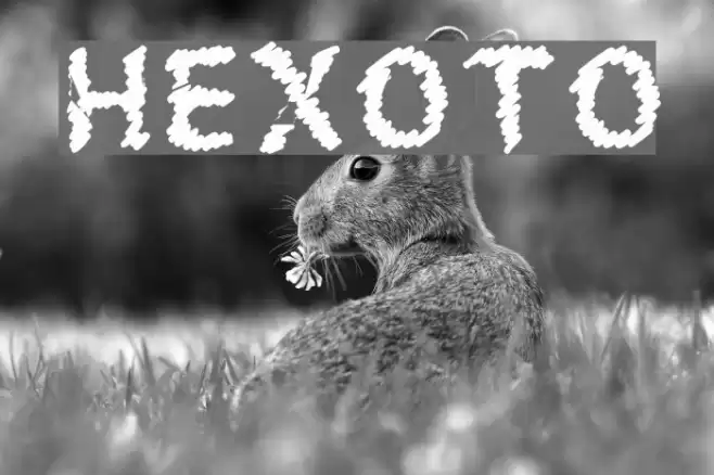 HEXOTO Fonte examples
