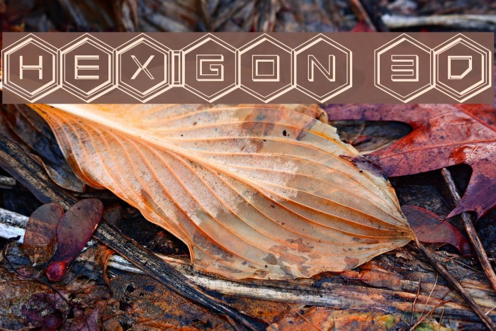 HEX:gon 3D Example 2