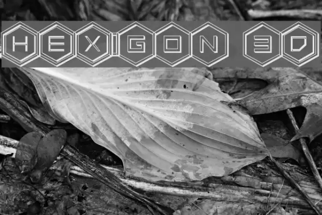 HEX:gon 3D Font examples