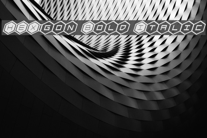 HEX:gon Bold Italic Font examples