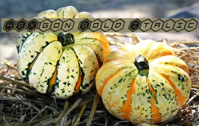 HEX:gon Bold Italic Example 3