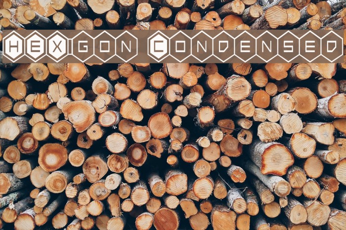 HEX:gon Condensed Font examples