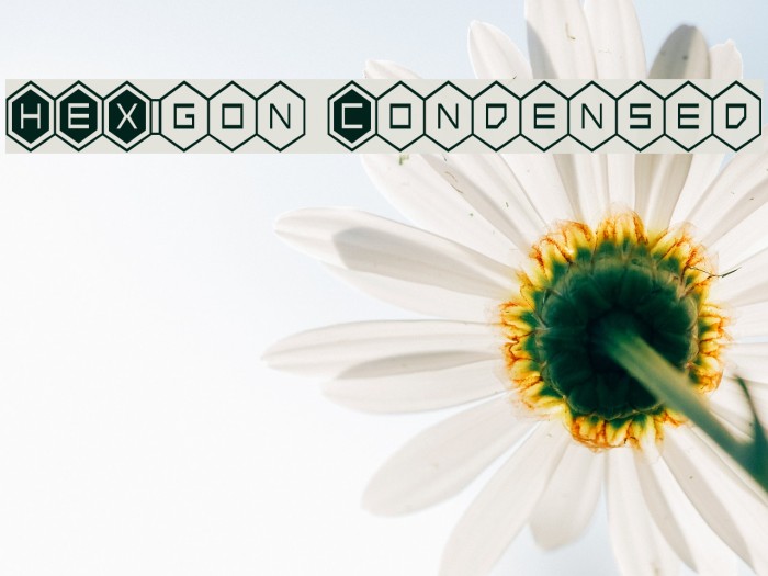 HEX:gon Condensed Font examples