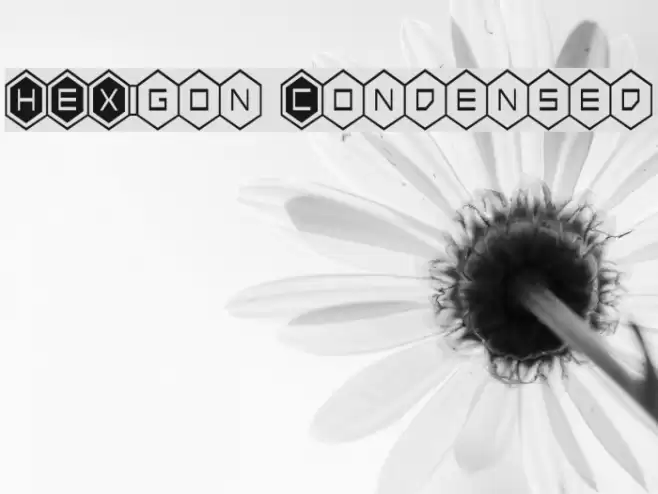 HEX:gon Condensed Font examples