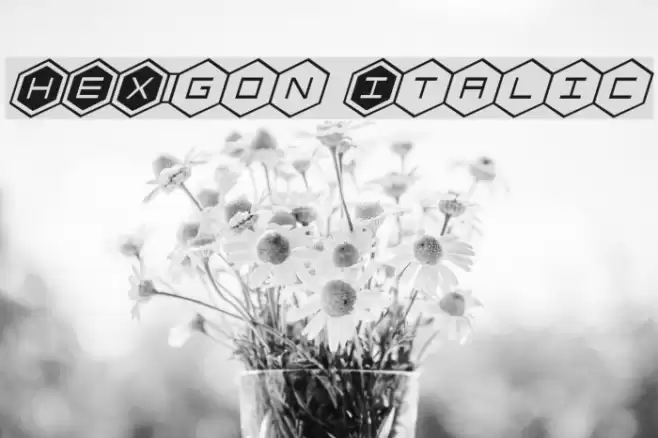 HEX:gon Italic Font examples