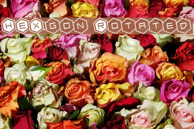 HEX:gon Rotated Example 2