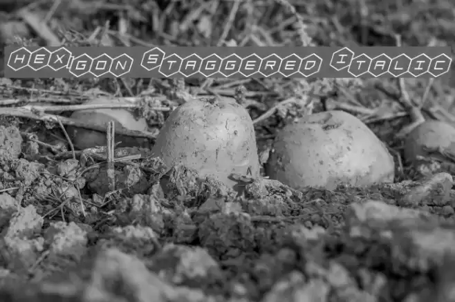 HEX:gon Staggered Italic Font examples