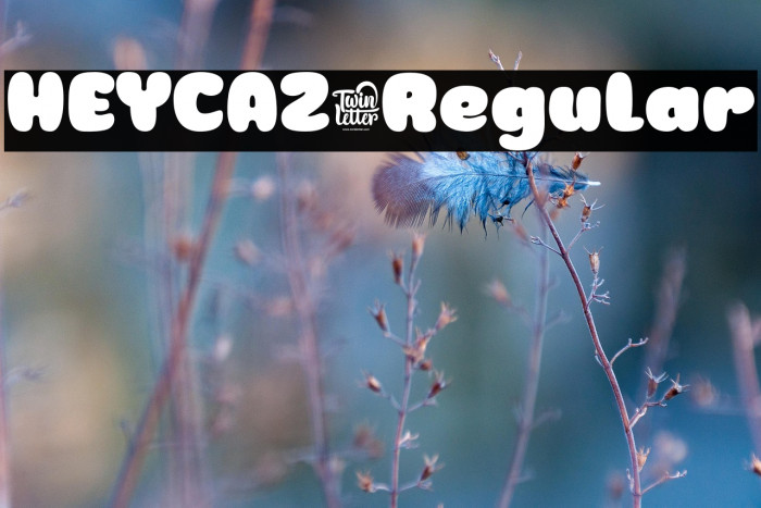 HEYCAZ-Regular Example 2