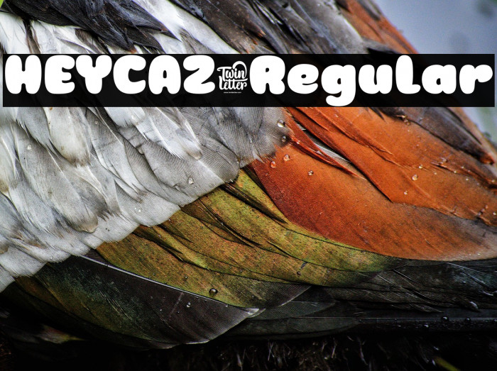 HEYCAZ-Regular Example 3