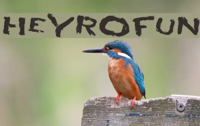 HEYROfun Example 1