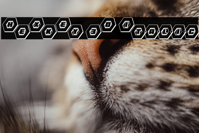 HeXkEy 3D Italic Example 3