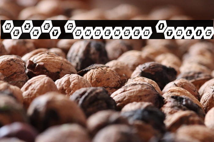 HeXkEy Condensed Italic Example 3