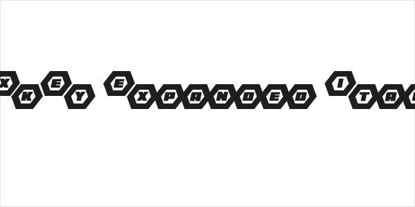 HeXkEy Expanded Italic Logo