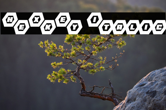 HeXkEy Italic Example 1